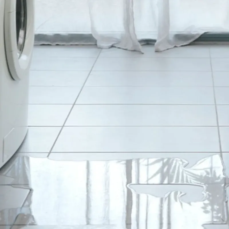 Appliance Leak Cleanup in Desoto Lakes, FL