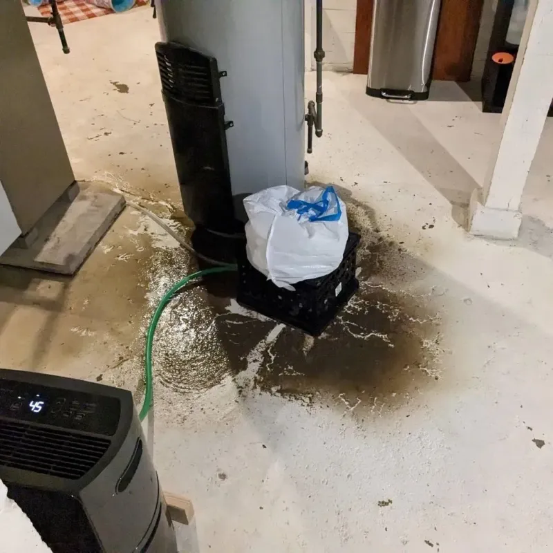 Sewage Backup Cleanup Service in Desoto Lakes, FL
